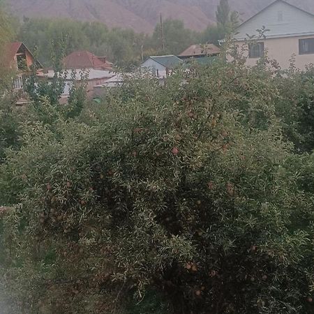 "Kamchybek Ata" Guest House B&B Tert-Kul' 外观 照片