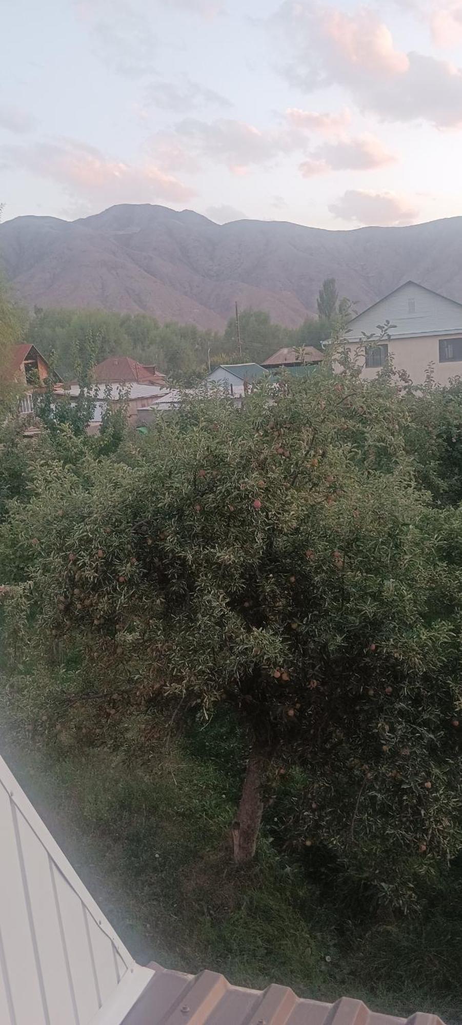 "Kamchybek Ata" Guest House B&B Tert-Kul' 外观 照片